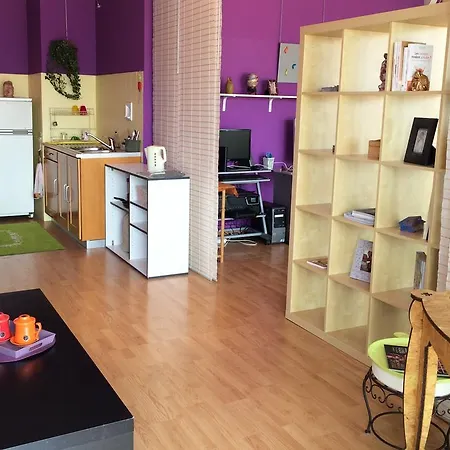 Apartment Grand Studio Style Loft, Carre D'or *